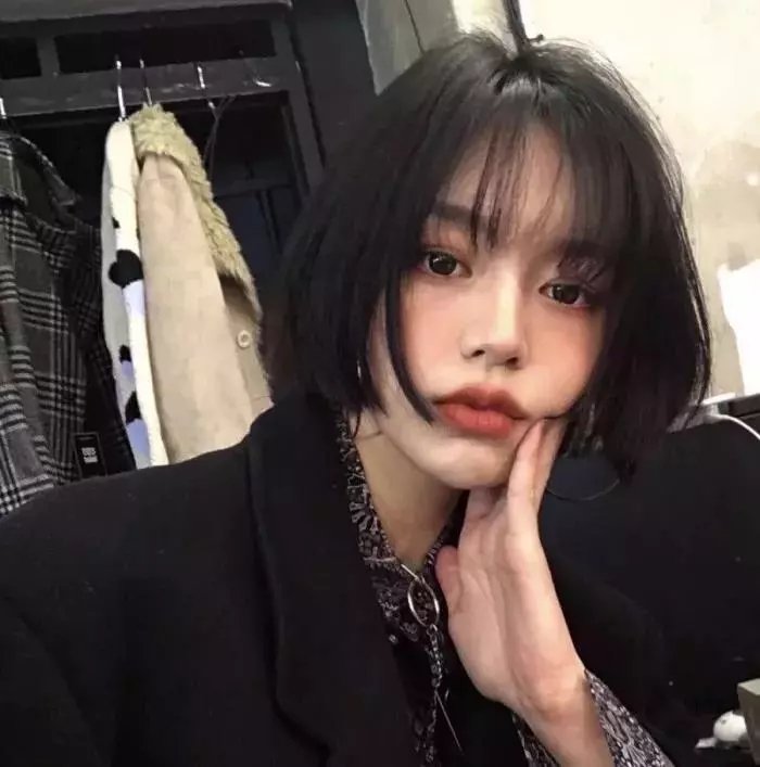 真假东宫粤语